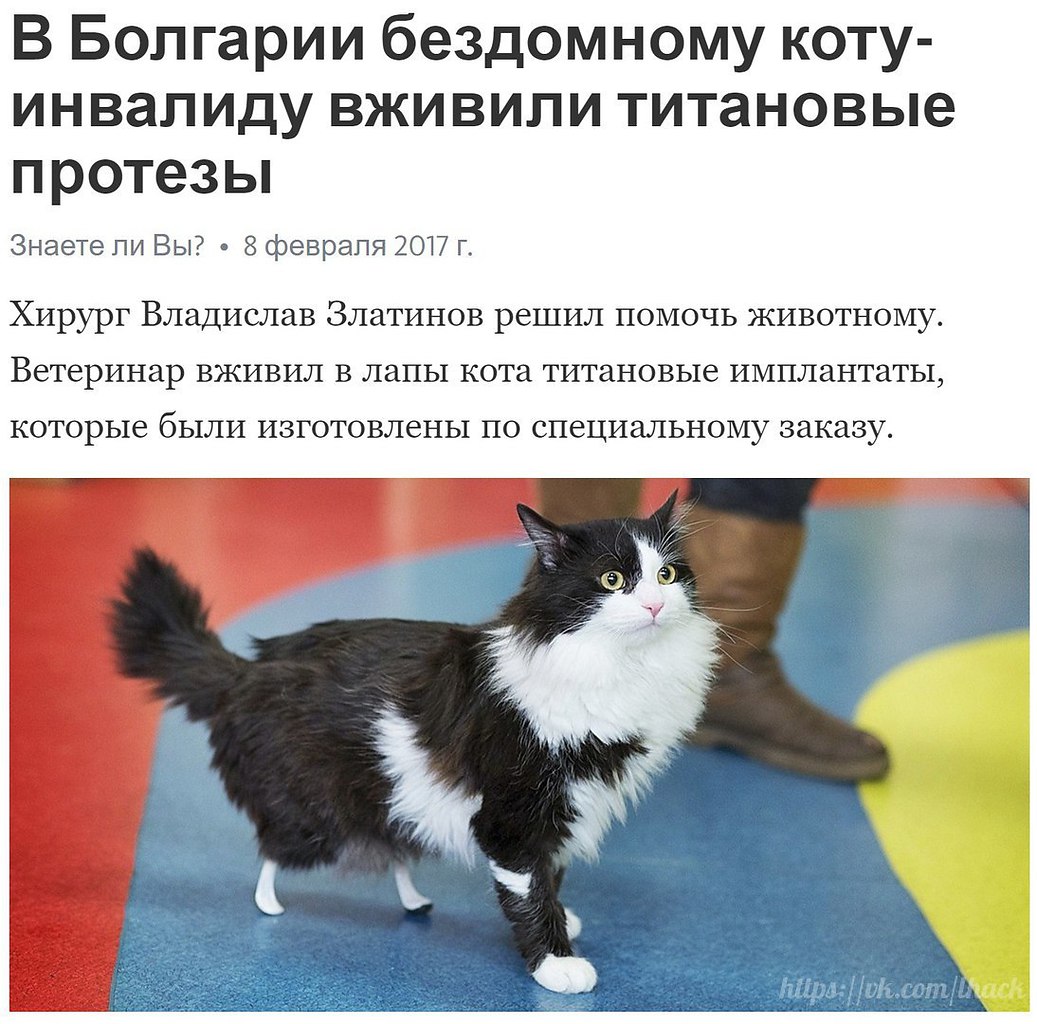  - 9  2017  12:40