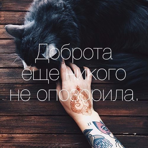 LIFE -  - 5  2017  08:25