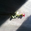 ���� ���, �������� - ��������� 19 ����� 2017 � ������ ���� ����������