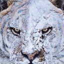 ���� ����, ����, 47 ��� - ��������� 25 ������ 2017 � ������ ���� ����������