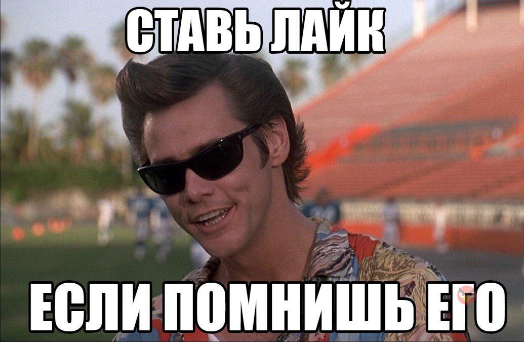   - 6  2017  10:31