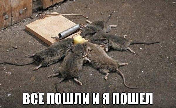   :D - 6  2017  23:54