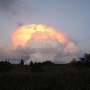  ,  -  13  2016     ... ,   !