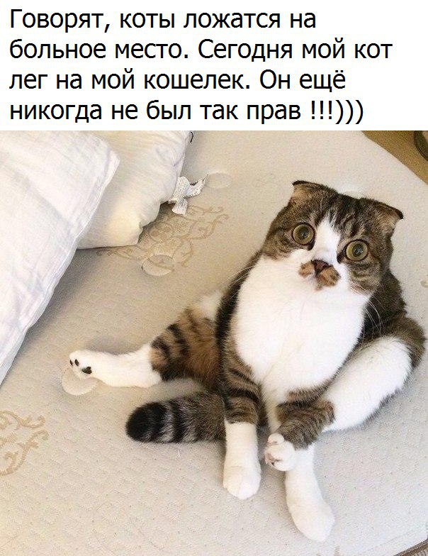 �������� ������ � ������ - 4 ������� 2017 � 18:16