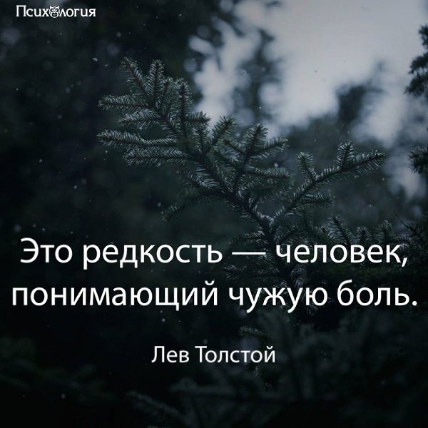  - 28  2017  19:57