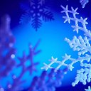 ���� �����, ���������� ����� - ��������� 9 ������� 2016 � ������ �������� �������-�������