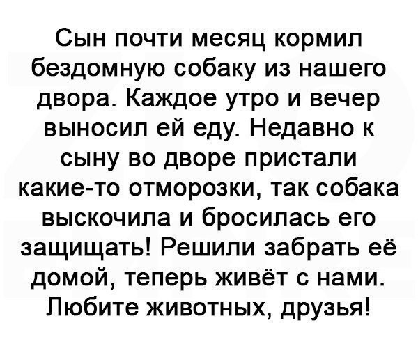  - 24  2017  10:33