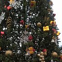���� Czxv Zxvc �����, �����������, 57 ��� - ��������� 11 ������ 2017 � ������ ���� ����������