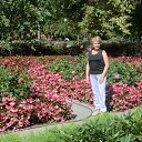 ���� �������, ������� - ��������� 29 �������� 2016 � ������ ���� ����������