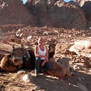 ���� ���������, ��������, 38 ��� - ��������� 6 ������ 2016 � ������ ���� ����������