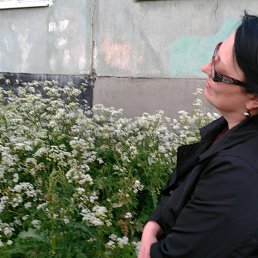 ����, ��������, 51 ���