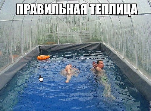    - 1  2017  10:36