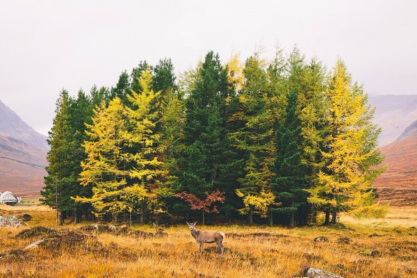  .#nature@travel.blog