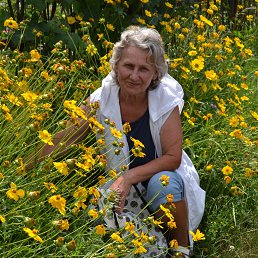 �����, ������, 81 ���