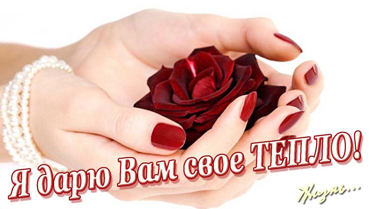 ~Dasha~ - 22  2016  07:27