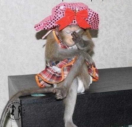 - Как-то нехорошо мне...Тошнит... - Беременна? - Ага. - От кого? - От работы, она меня ...