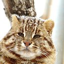 ���� ������ �����������, �������, 52 ���� - ��������� 19 ������ 2016 � ������ ���� ����������