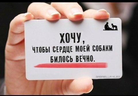  - 11  2016  02:47
