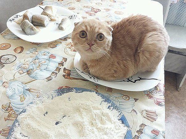   ....  ...)))