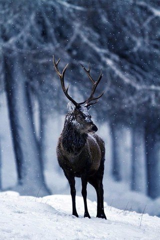 Art & Fun - 4  2017  20:41 - 3