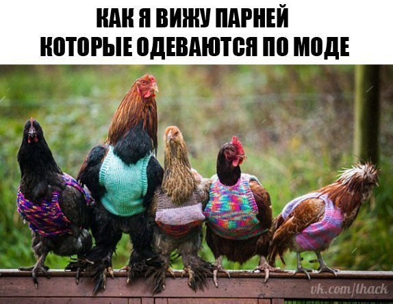   - 17  2017  18:11
