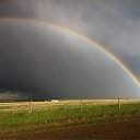 ���� ������, ������, 50 ��� - ��������� 4 ������� 2016 � ������ ���� �����������