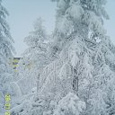 ���� �������, �����-���������, 67 ��� - ��������� 4 ������� 2017 � ������ ���� ����������
