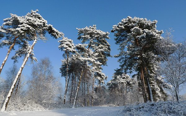    - 23  2017  17:56