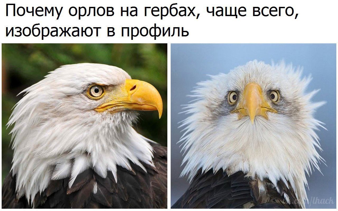   - 26  2017  15:24