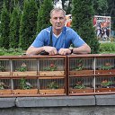 ���� ��������, ���������, 57 ��� - ��������� 10 ������� 2017 � ������ ���� ����������