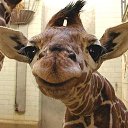 ���� On, ������, 45 ��� - ��������� 6 ������� 2017 � ������ ������ ��������