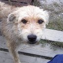 ���� �������, ����������� - ��������� 18 ������� 2017 � ������ ������� ��.�