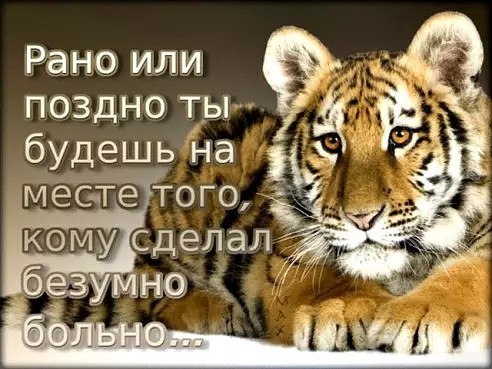  - 2  2016  07:15