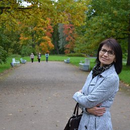 ���� �������, �����-���������, 62 ���� - ��������� 25 �������� 2016