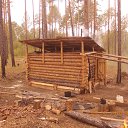 ���� �������, �����������, 39 ��� - ��������� 13 ������ 2017 � ������ ���� ����������