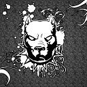 ���� Vitali, �����, 43 ���� - ��������� 4 ����� 2017 � ������ ���� ����������