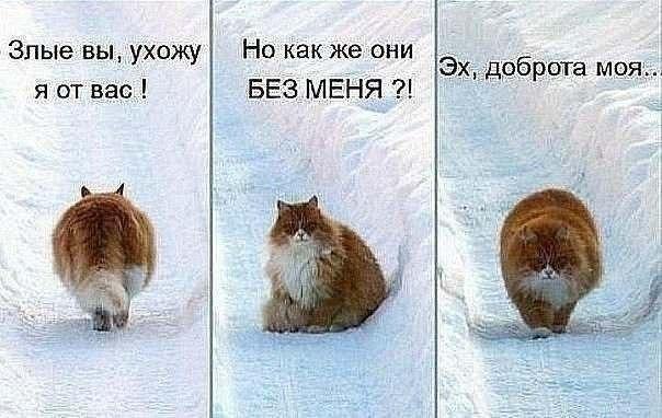    :D - 19  2016  04:36