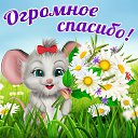 ���� ����, �����-���������, 46 ��� - ��������� 19 ������ 2016 � ������ �������� ��������
