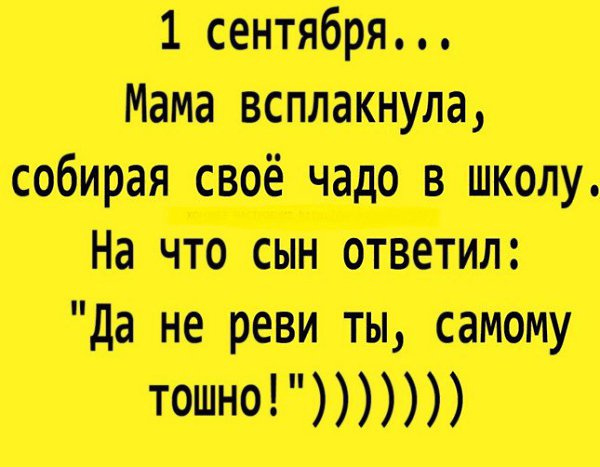 ☆ ☆ - 16  2016  12:05