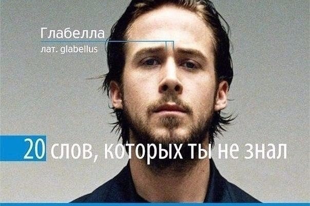 20 слов, которые ты, возможно, не знал. 1. Глабелла - это пространство между бровями. Сейчас вы ...