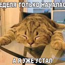 ���� ������, ������������ - ��������� 10 ������� 2016 � ������ ������ ��������