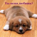  ,  -  22  2016    