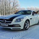 ���� ����, ������, 42 ���� - ��������� 6 ������� 2016 � ������ ���� ����������