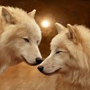 ���� ��, ���, 38 ��� - ��������� 14 ����� 2017 � ������ ���� ����������