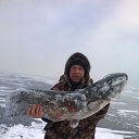 ���� ����, ����������, 41 ��� - ��������� 24 ������ 2017 � ������ ���� ����������