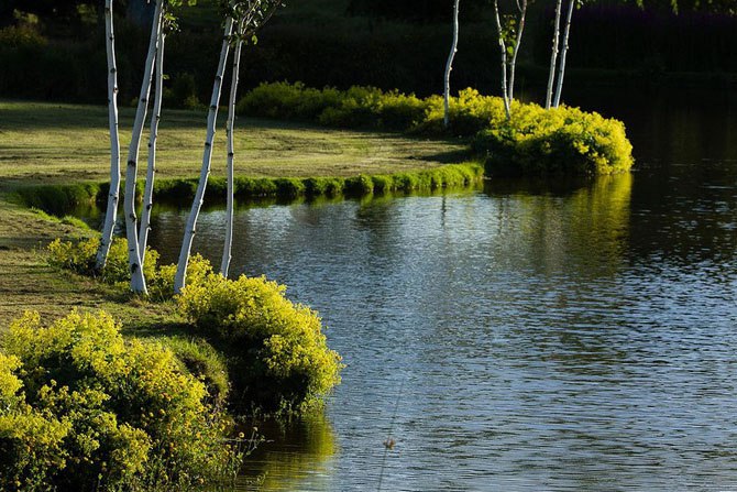 ))).  Maple Glen      Maple Glen    ... - 7