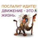  ,  -  20  2017    