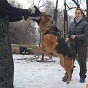 ���� Miss, ������, 49 ��� - ��������� 13 ������� 2017 � ������ ���� Bodyguard,��� ������ �������� �������������