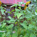 ���� Alexander, �����-���������, 58 ��� - ��������� 19 �������� 2016 � ������ ���� ����������