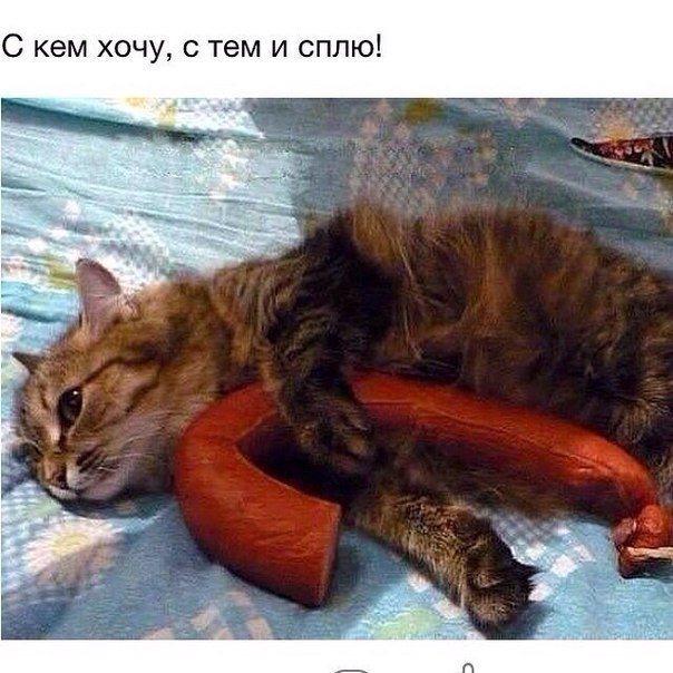   - 13  2017  19:51